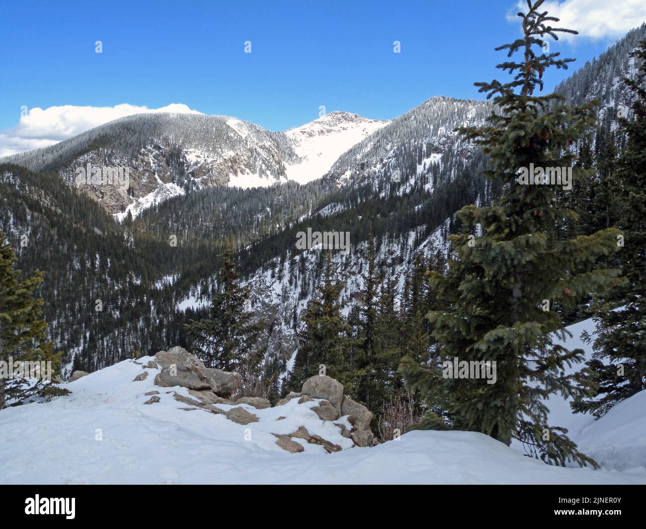 Ende des Ravens' Ridge Trails, Sangre de Cristo Range, New Mexico, USA, 2009-04-05 13:35 Stockfoto