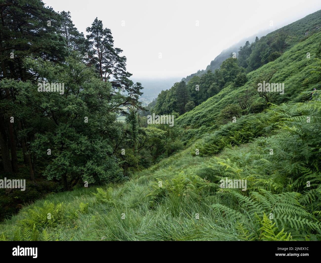 Cader Idris Berg mit See in der Nähe der Stadt Dolgellau, im Nationalpark Snowdonia in Wales, nebliger Morgen 2022. Stockfoto
