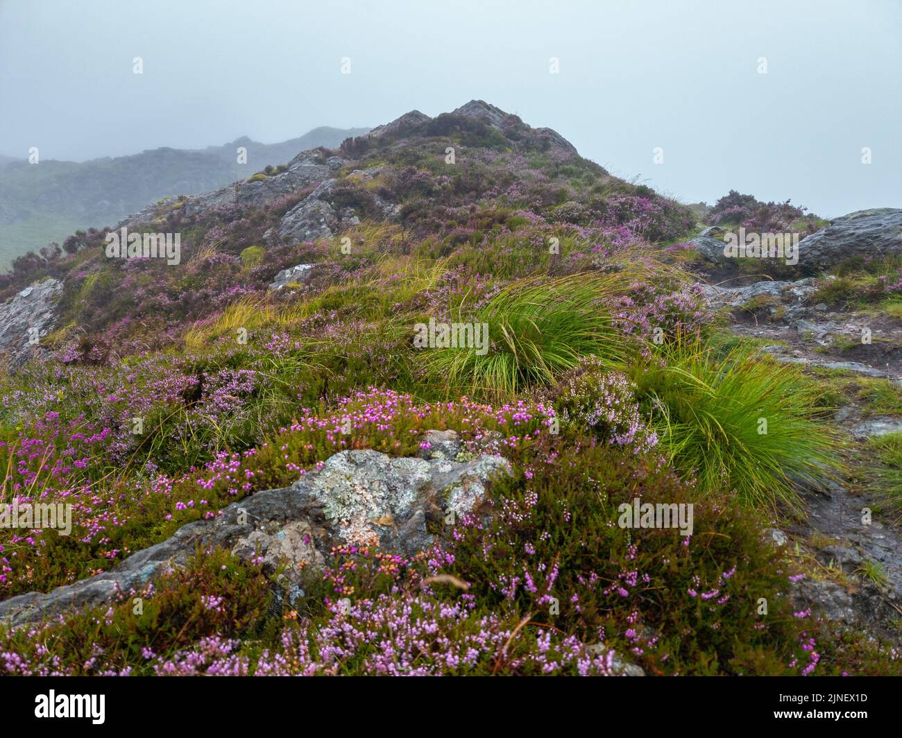 Cader Idris Berg mit See in der Nähe der Stadt Dolgellau, im Nationalpark Snowdonia in Wales, nebliger Morgen 2022. Stockfoto