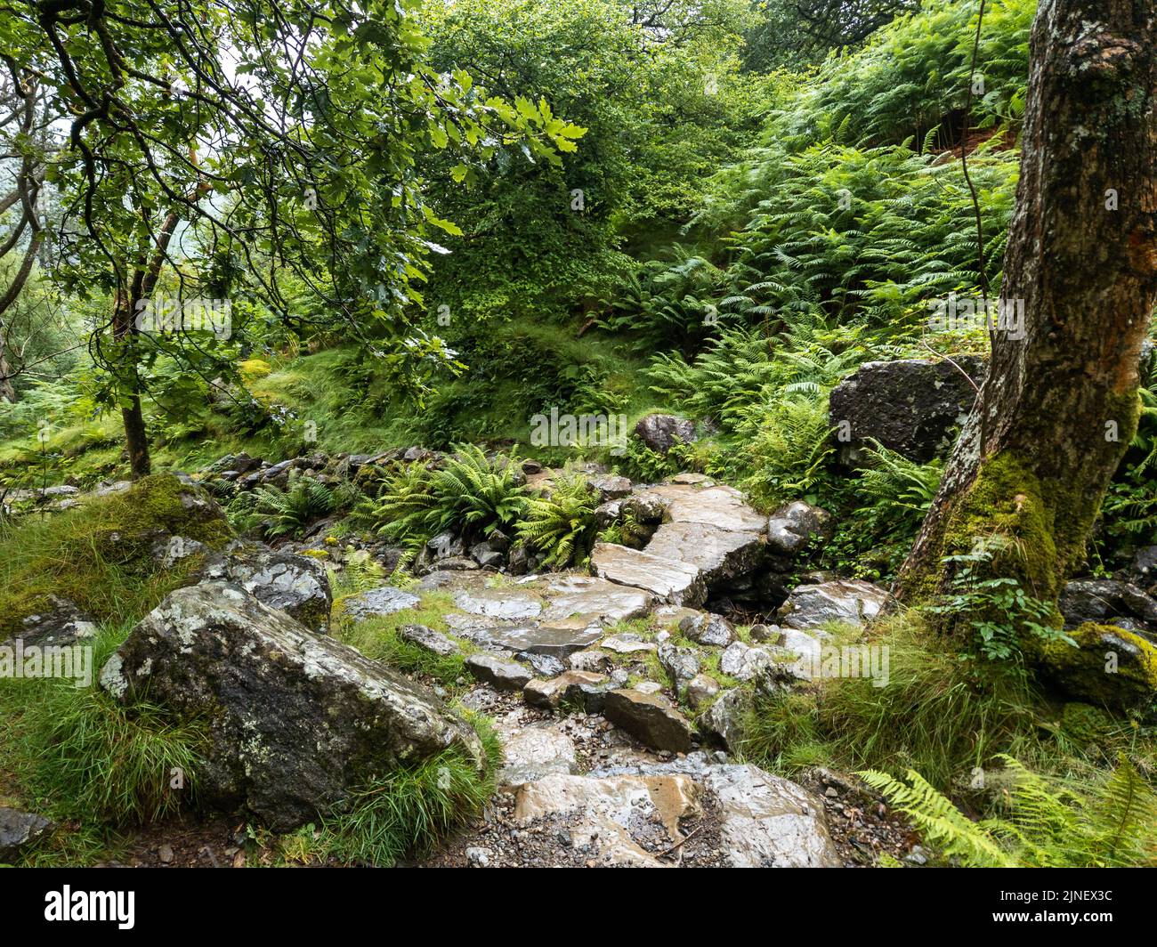 Cader Idris Berg mit See in der Nähe der Stadt Dolgellau, im Nationalpark Snowdonia in Wales, nebliger Morgen 2022. Stockfoto