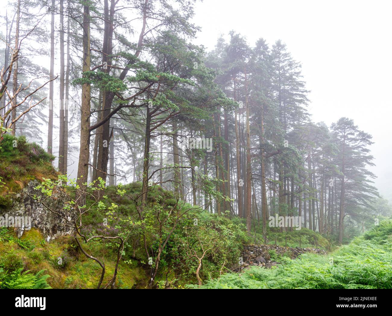 Cader Idris Berg mit See in der Nähe der Stadt Dolgellau, im Nationalpark Snowdonia in Wales, nebliger Morgen 2022. Stockfoto
