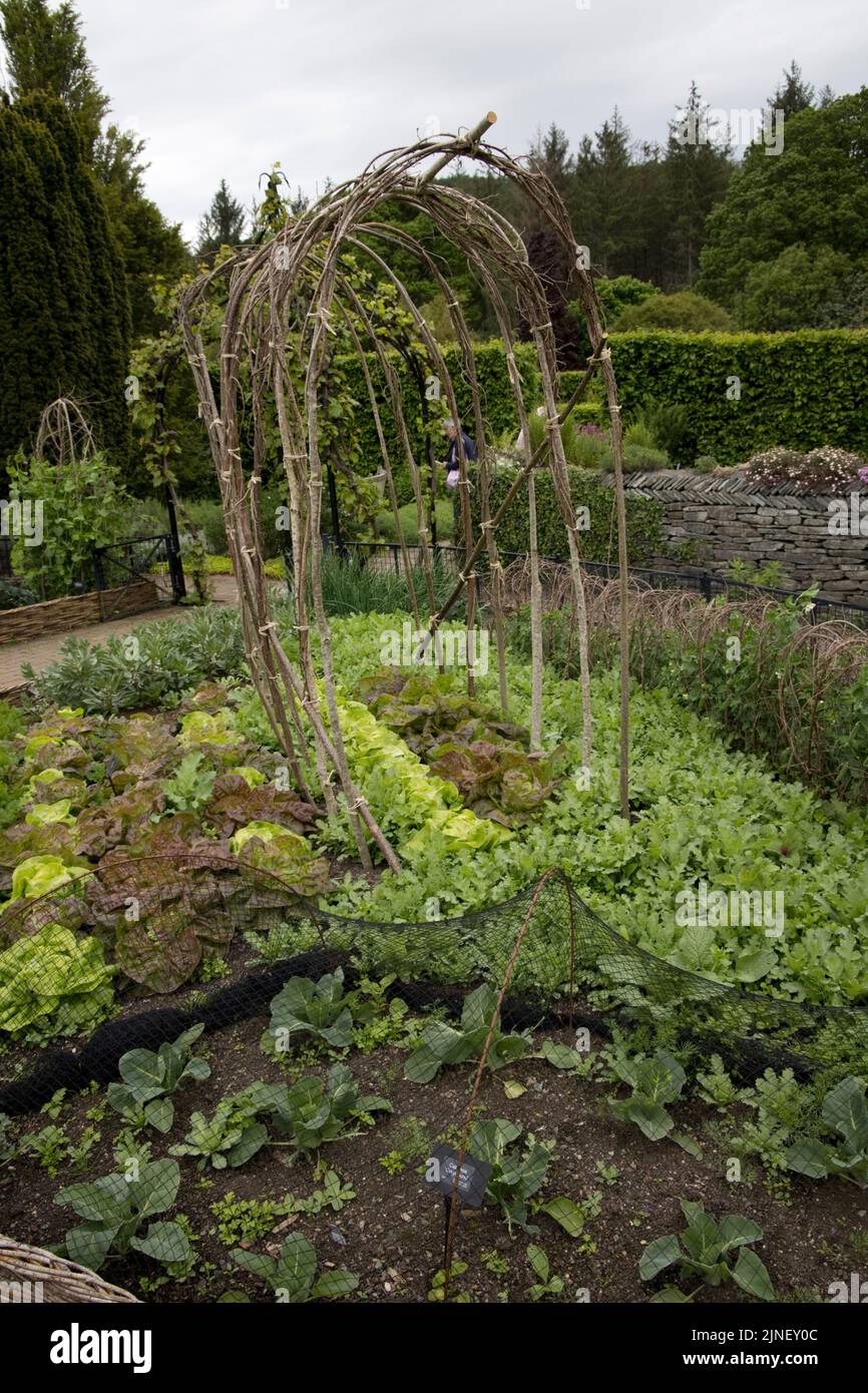 Produktiver Gemüsegarten RHS Garden Rosemoor North Devon Stockfoto