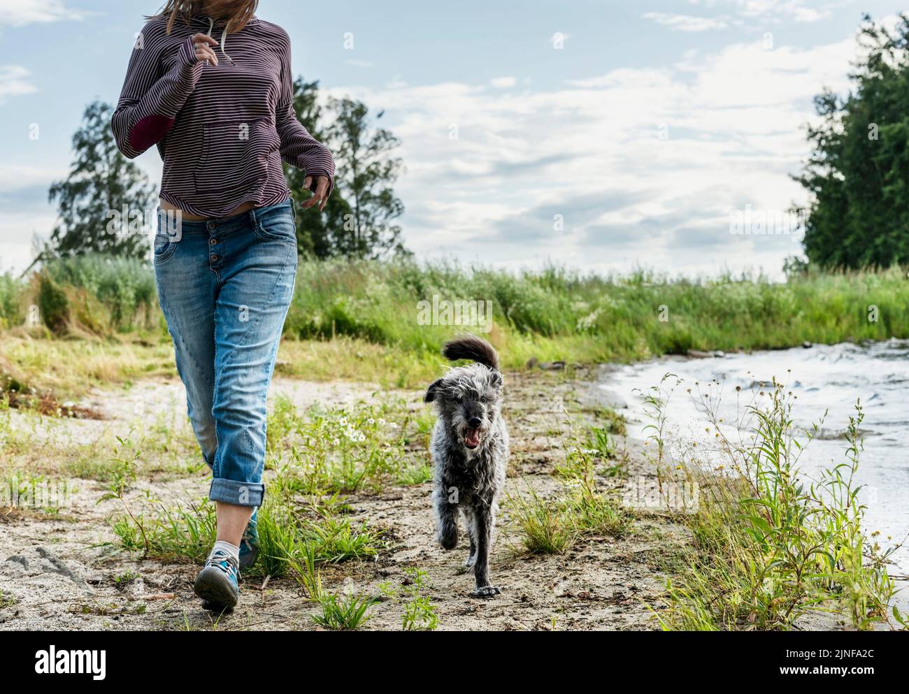 Frau gesichtslos läuft entlang der Seeufer mit gemischten Rasse Hund Reisen und Wandern mit Haustieren Hund Wandern Stockfoto