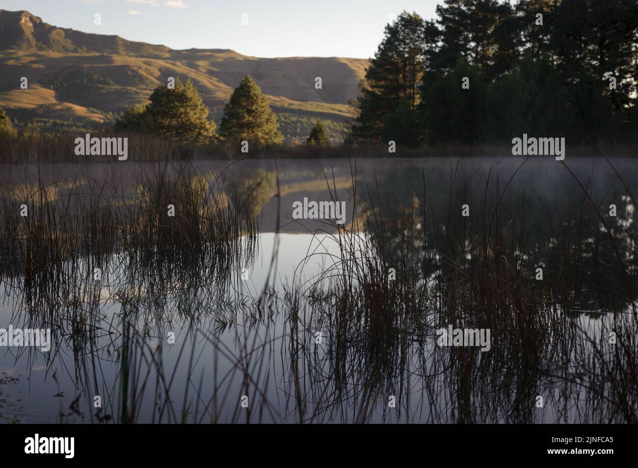 Am frühen Morgen im Kamberg-Tal in den südafrikanischen Drakensberg-Bergen Stockfoto