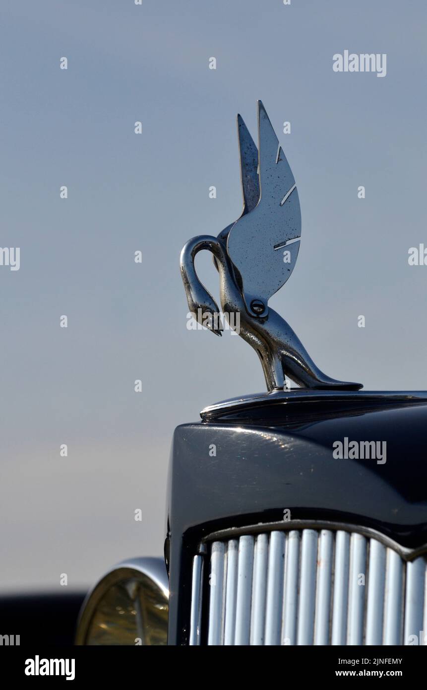 Maskottchen auf Motorhaube des amerikanischen Packard Super Eight Oldtimers Stockfoto