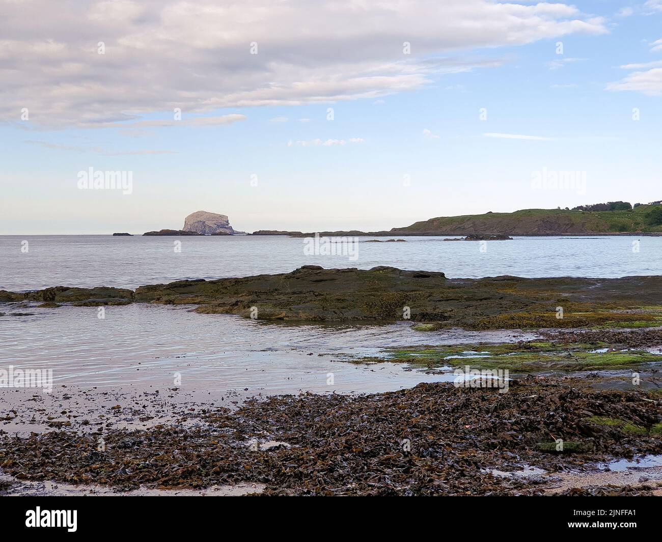 North Berwick, Schottland. Blick auf Bass Rock an einem Sommerabend. Fotografieren von Strandvolk und wilden Schwimmern Stockfoto