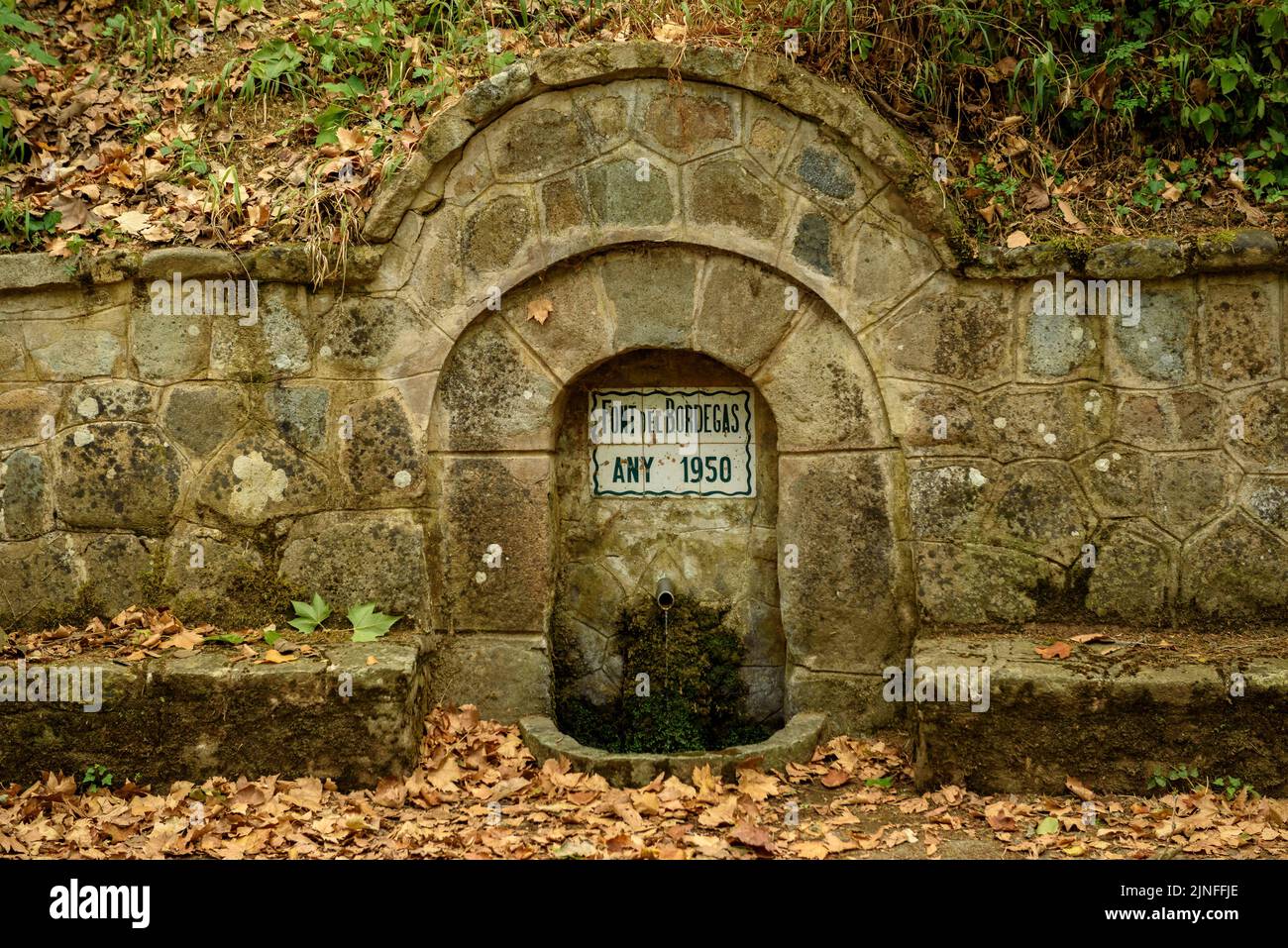 Bordegàs source, in der Nähe der Stadt Osor, in den Guilleries Bergen (La Selva, Girona, Katalonien, Spanien) ESP: Fuente del Bordegàs cerca de Osor Girona Stockfoto