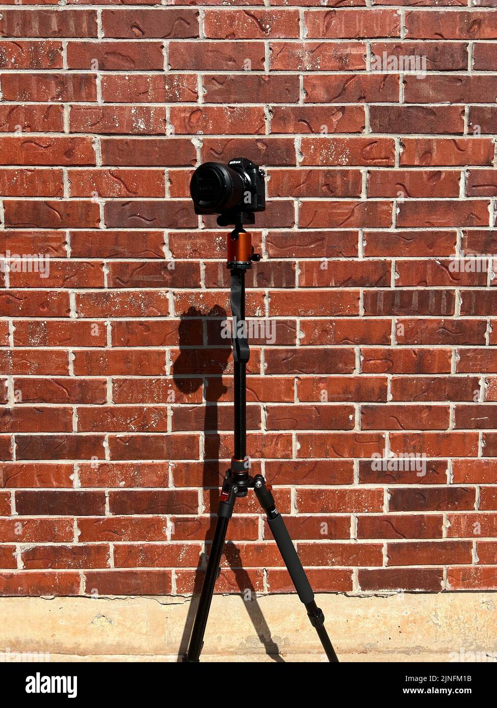 Eine vertikale Aufnahme einer Nikon z6ii Kamera auf einem Stativ Stockfoto
