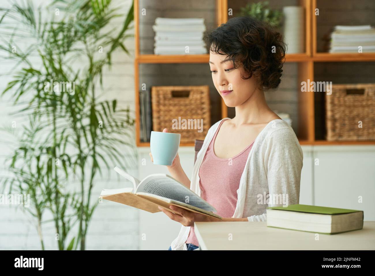 Porträt einer hübschen japanischen Frau in der Taille, die oben und in der Strickjacke sitzt und im gemütlichen Wohnzimmer Kräutertee trinkt und Abenteuergeschichte liest Stockfoto