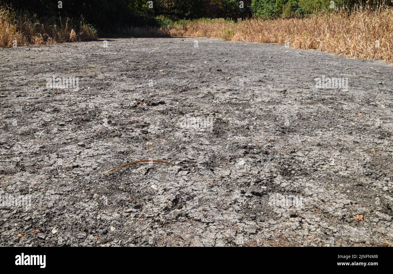 London, England, Großbritannien. 11. August 2022. Ein völlig trockener Teich im Wanstead Park im Nordosten Londons, da die Hitzewellen und Dürren, die durch den Klimawandel verursacht werden, in Großbritannien anhalten. (Bild: © Vuk Valcic/ZUMA Press Wire) Stockfoto