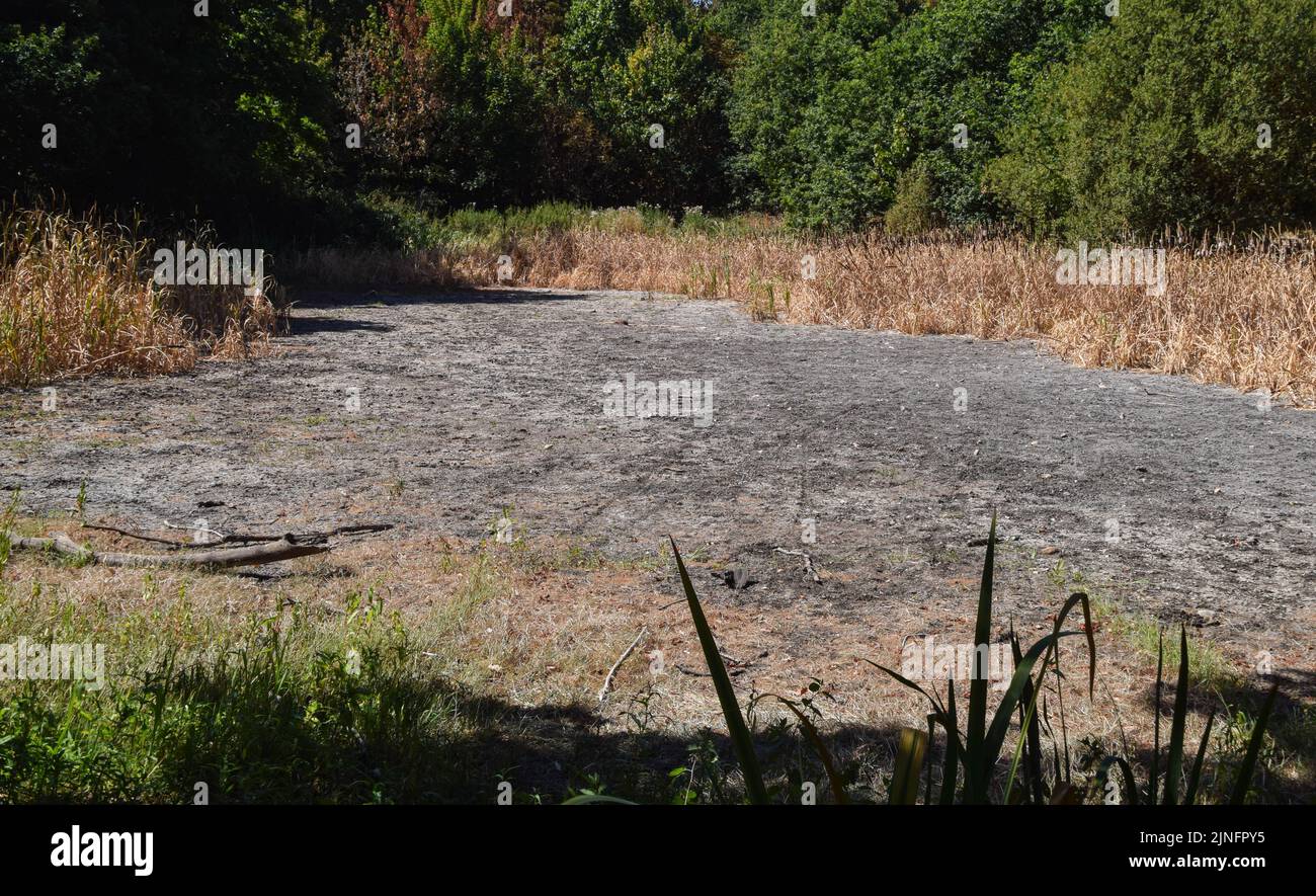 London, Großbritannien. 11.. August 2022. Ein völlig trockener Teich im Wanstead Park im Nordosten Londons, da die Hitzewellen und Dürren, die durch den Klimawandel verursacht werden, in Großbritannien anhalten. Kredit: Vuk Valcic/Alamy Live Nachrichten Stockfoto