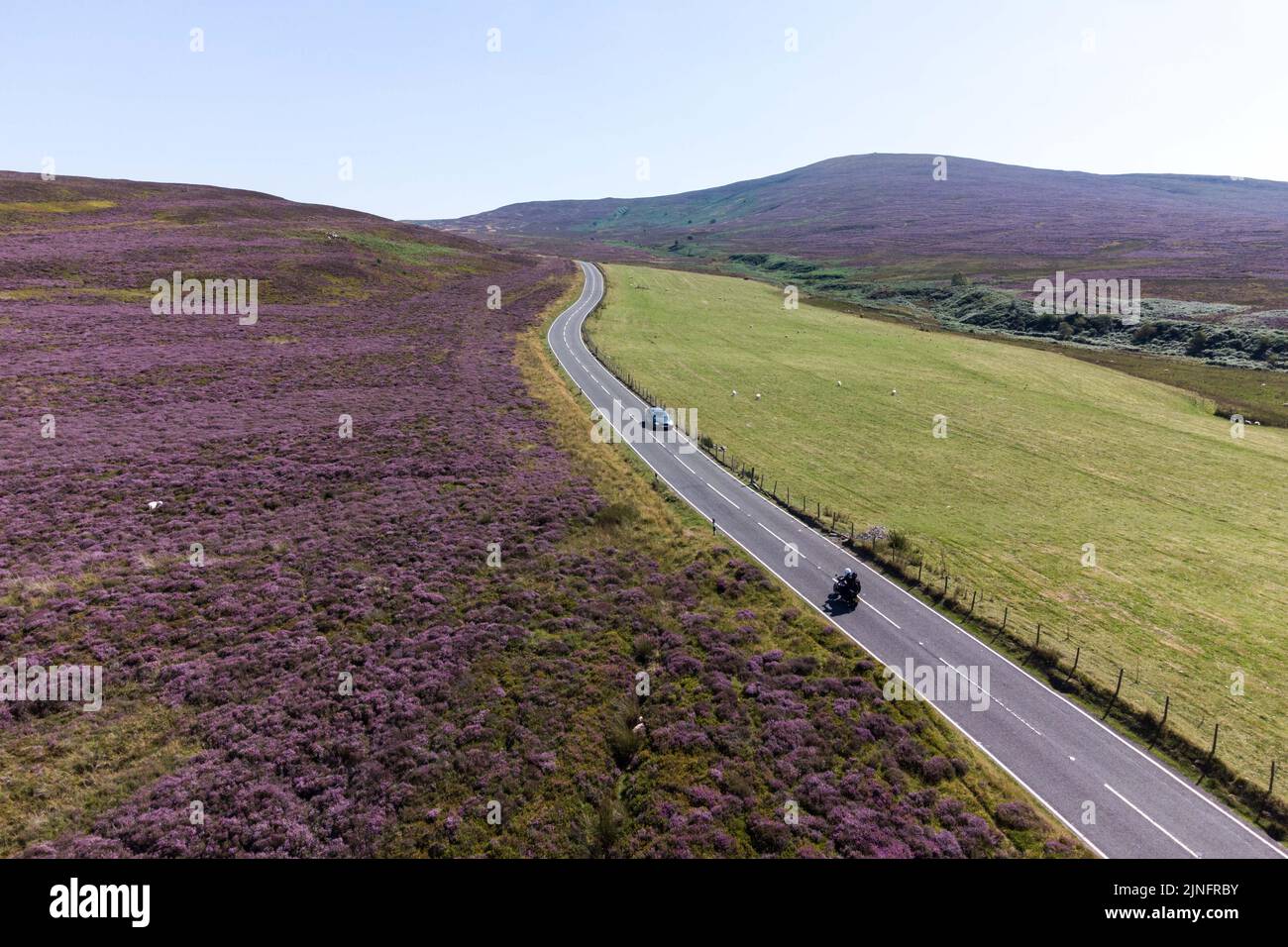 Berwyn Range, North Powys Wales August 11. 2022 - Ein Flickenteppich aus grünem Bracken und violettem Heidekraut erzeugt auf sehr trockenem Land auf der Berwyn Range in North Pwys lebendige Farben. Bild: SCOTT CM/Alamy Live News Stockfoto