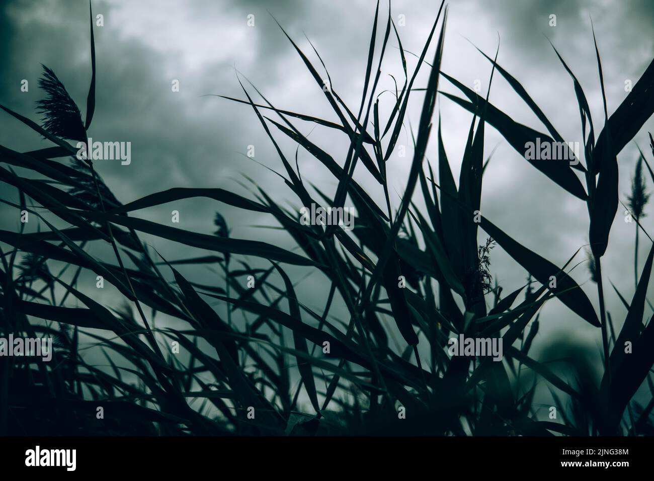 Ein Sturm zieht über eine Stadt in der Slowakei Stockfoto