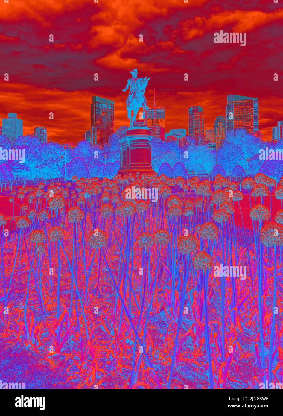 Boston Skyline und das George Washington Monument im Public Garden in Boston, Massachusetts Stockfoto