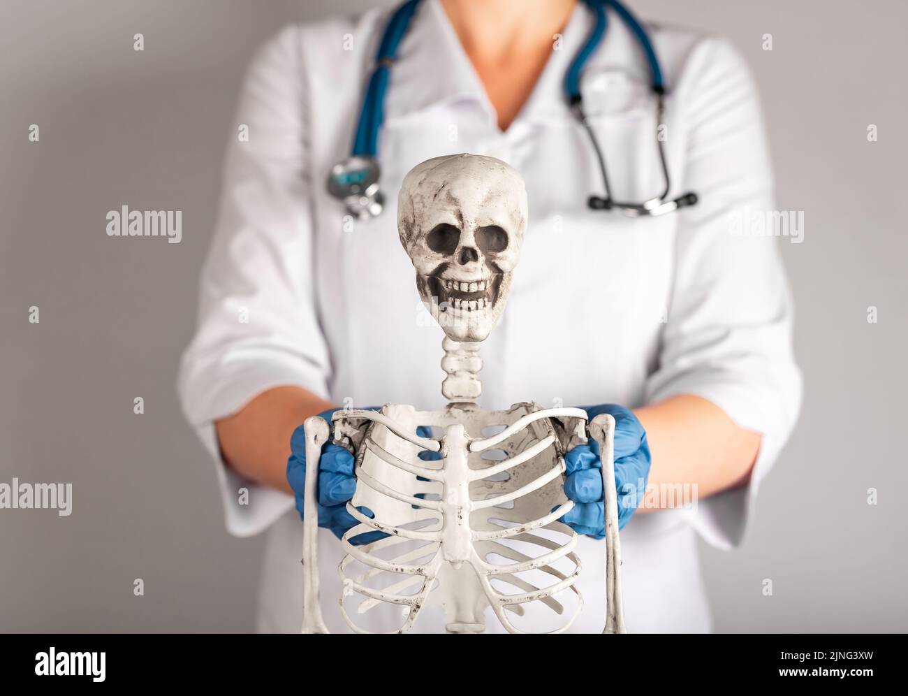 Arzt zeigt menschliches Skelett. Frau im Labormantel mit Stethoskop, die den Studenten Anatomie beibringt. Anatomie des Skelettsystems, Körperstruktur, medizinische Ausbildung Stockfoto