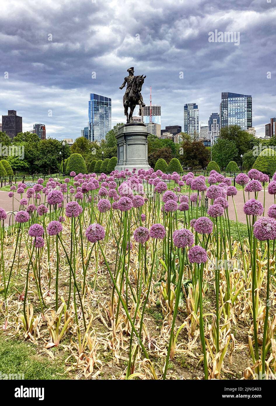 Boston Skyline und das George Washington Monument im Public Garden in Boston, Massachusetts Stockfoto