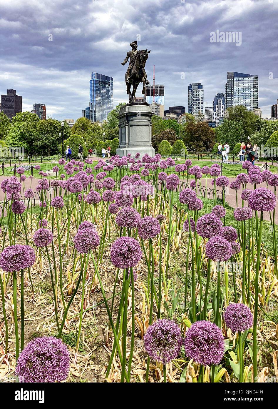 Boston Skyline und das George Washington Monument im Public Garden in Boston, Massachusetts Stockfoto