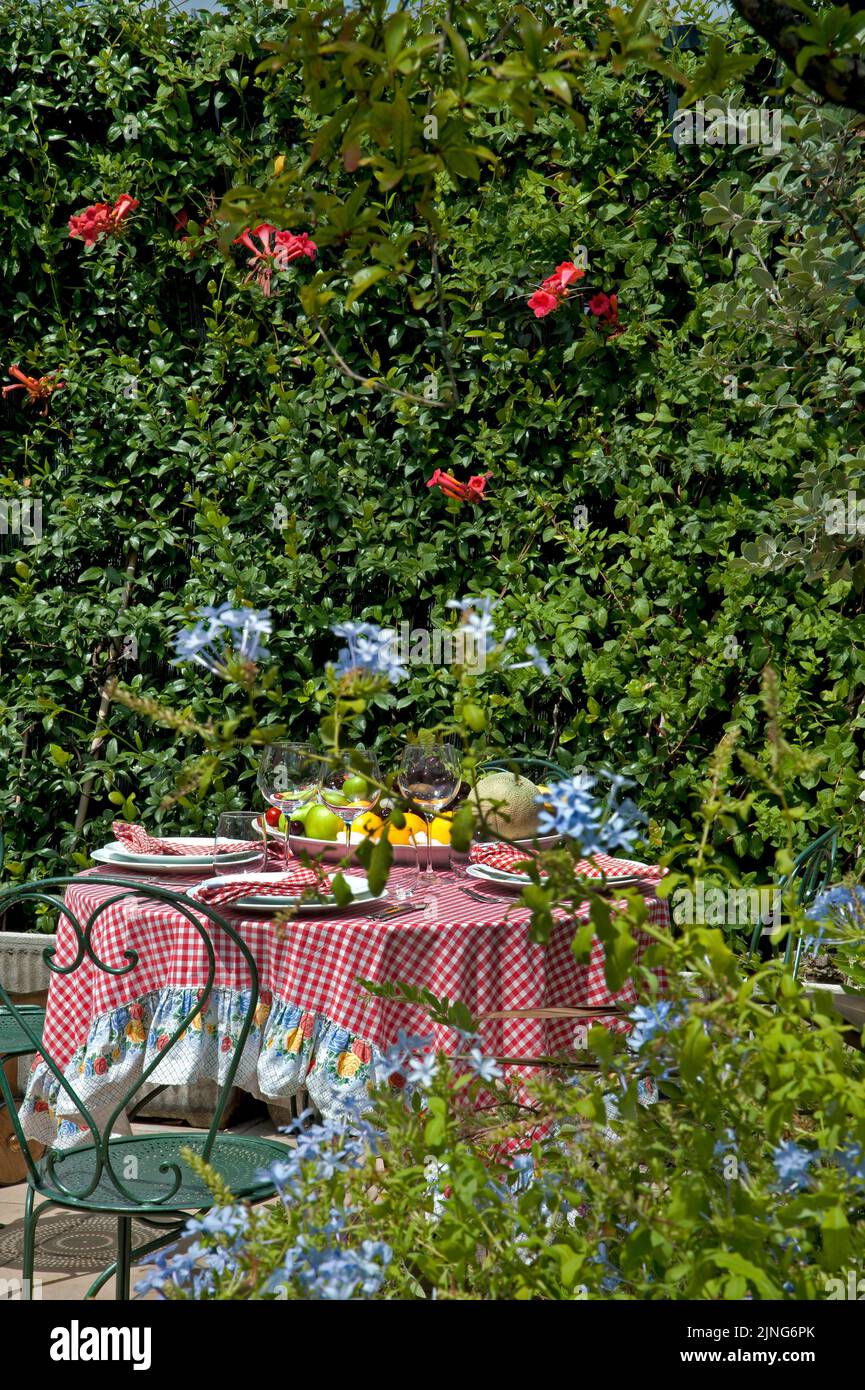 Blumen, Klettern bignonia, blauer Jasmin, Mittagessen auf der Terrasse. Stockfoto