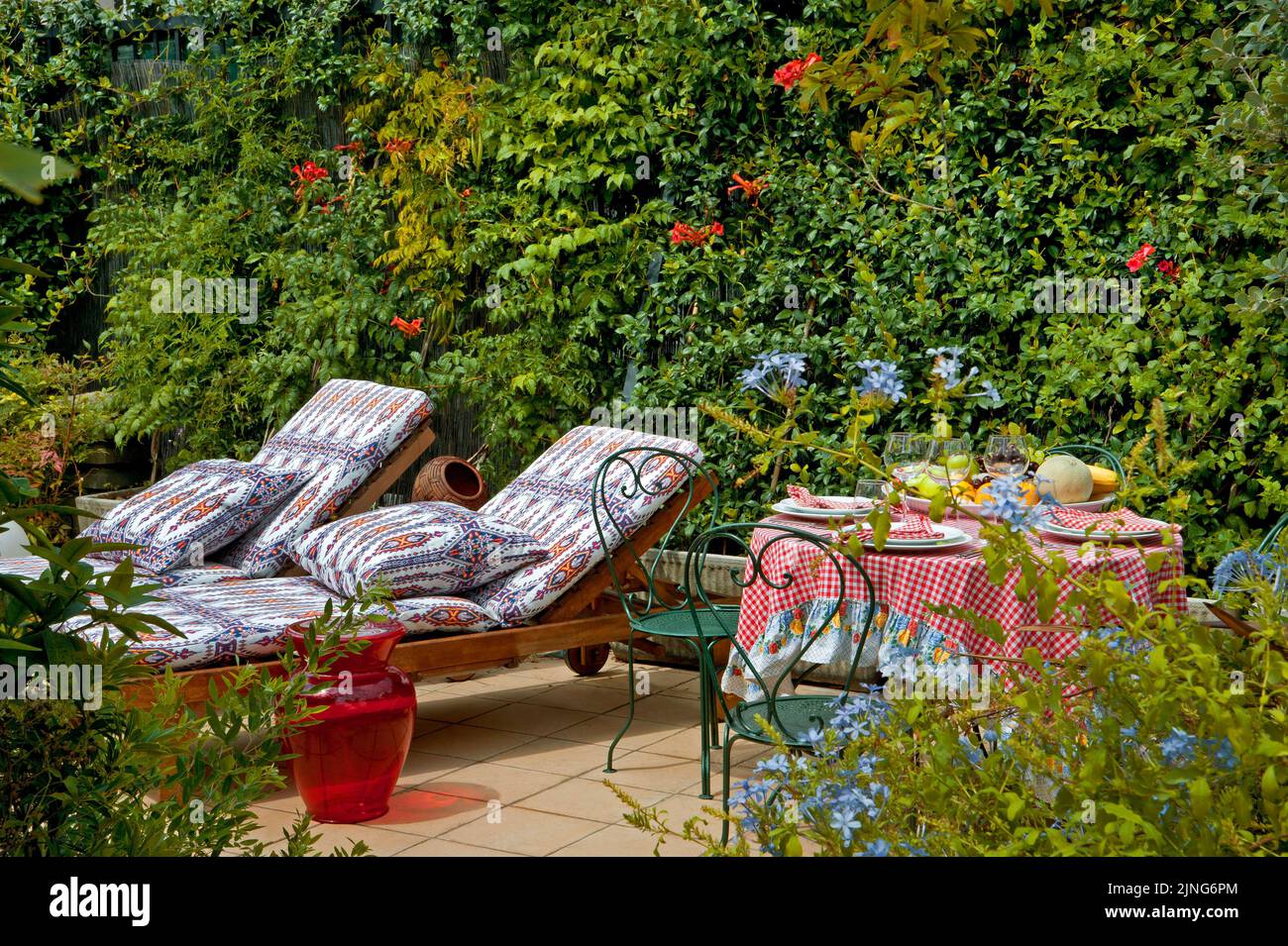 Blumen, Klettern bignonia, blauer Jasmin, Mittagessen auf der Terrasse. Stockfoto