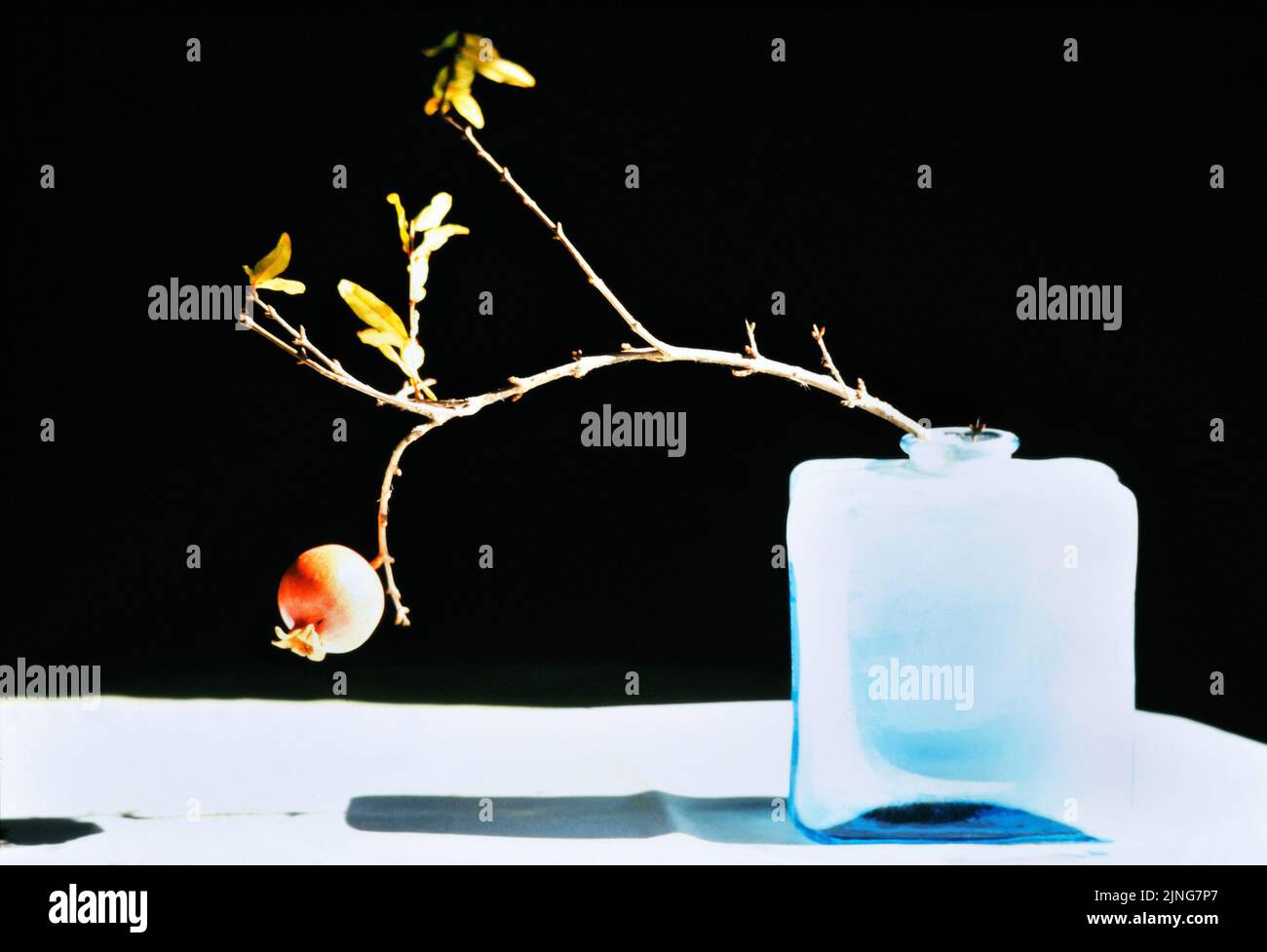 Stillleben, Granatapfel in einer blauen Vase. Stockfoto