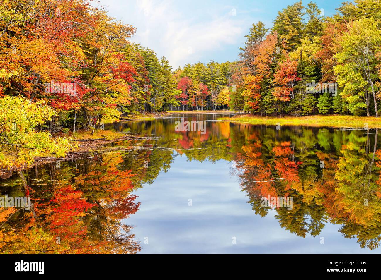 Herbstfärbung im ruhigen Teichwasser in Neuengland Stockfoto