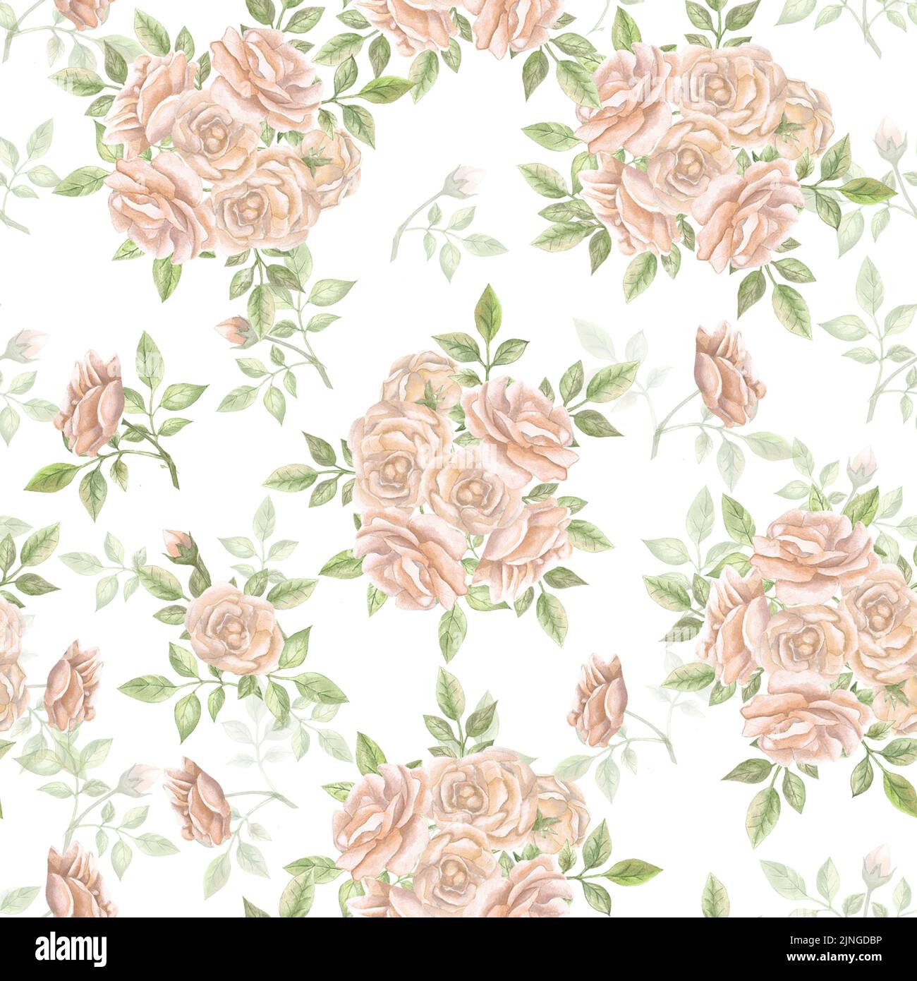Muster mit Rosen. Aquarellrosen. Nahtloses Muster mit Blumen. Blumenmuster. Hintergrund mit Rosenrosen. Stockfoto