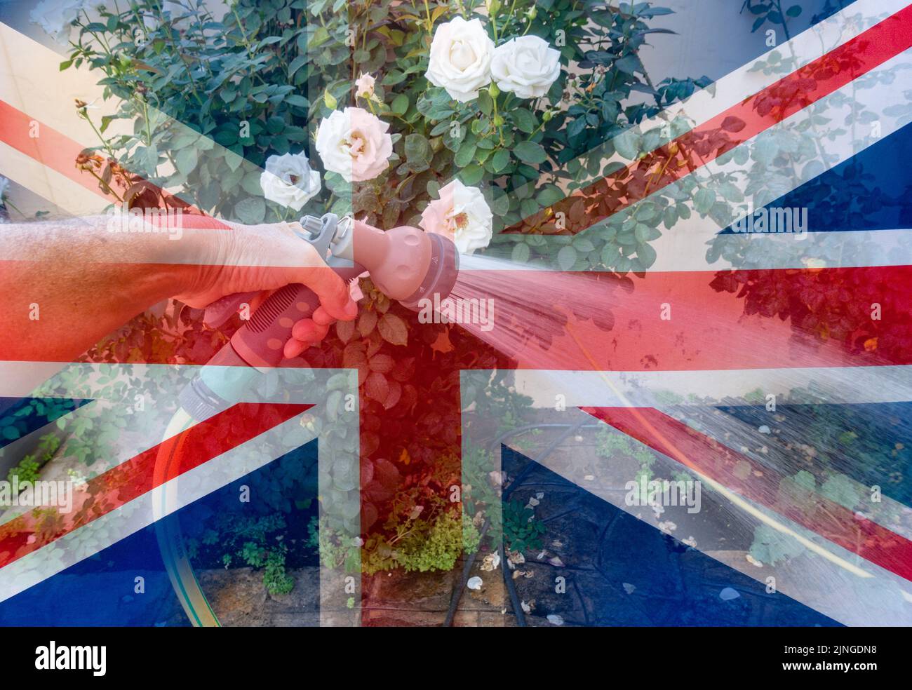 Rohrleitungsverbot, Dürre, globale Erwärmung, Sommer, Klimawandel, Extreme Wetterbedingungen, Großbritannien, Konzept... Stockfoto