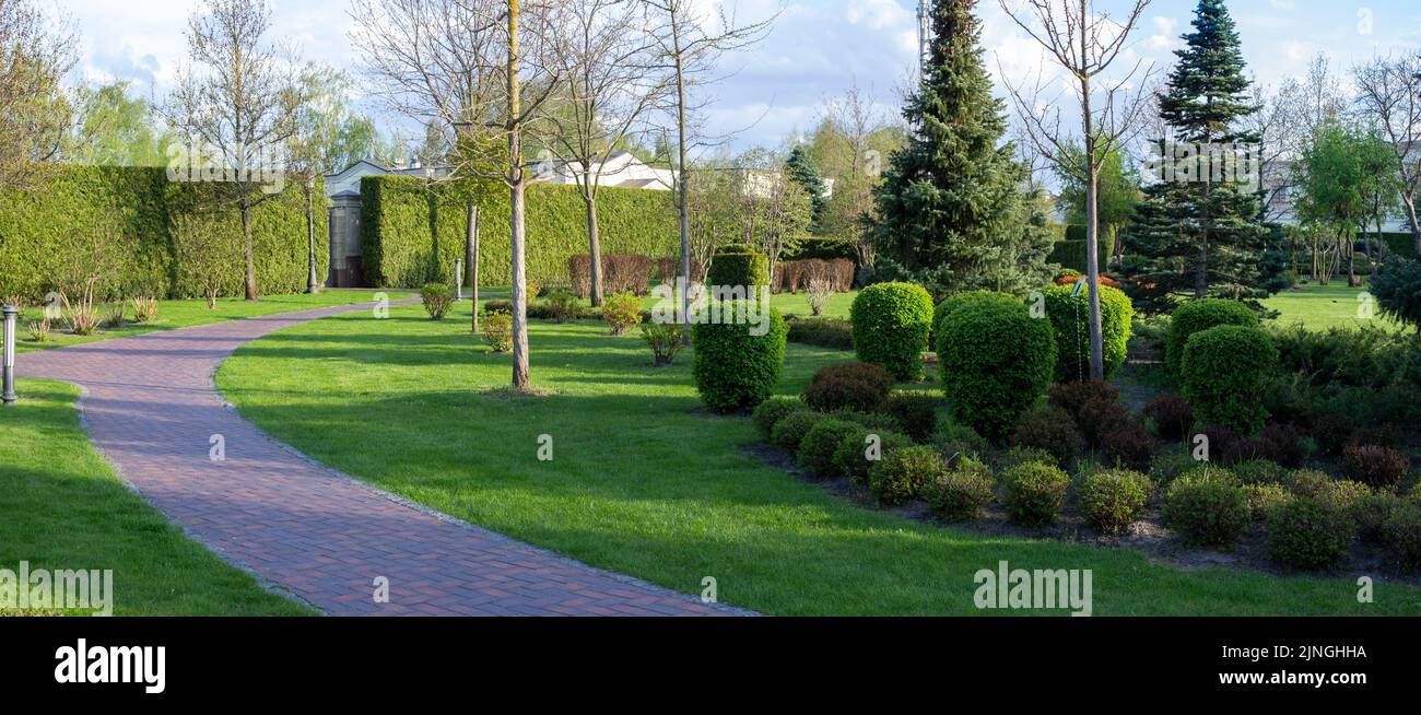 Thujas thuja Fotos und Bildmaterial in hoher Auflösung Alamy