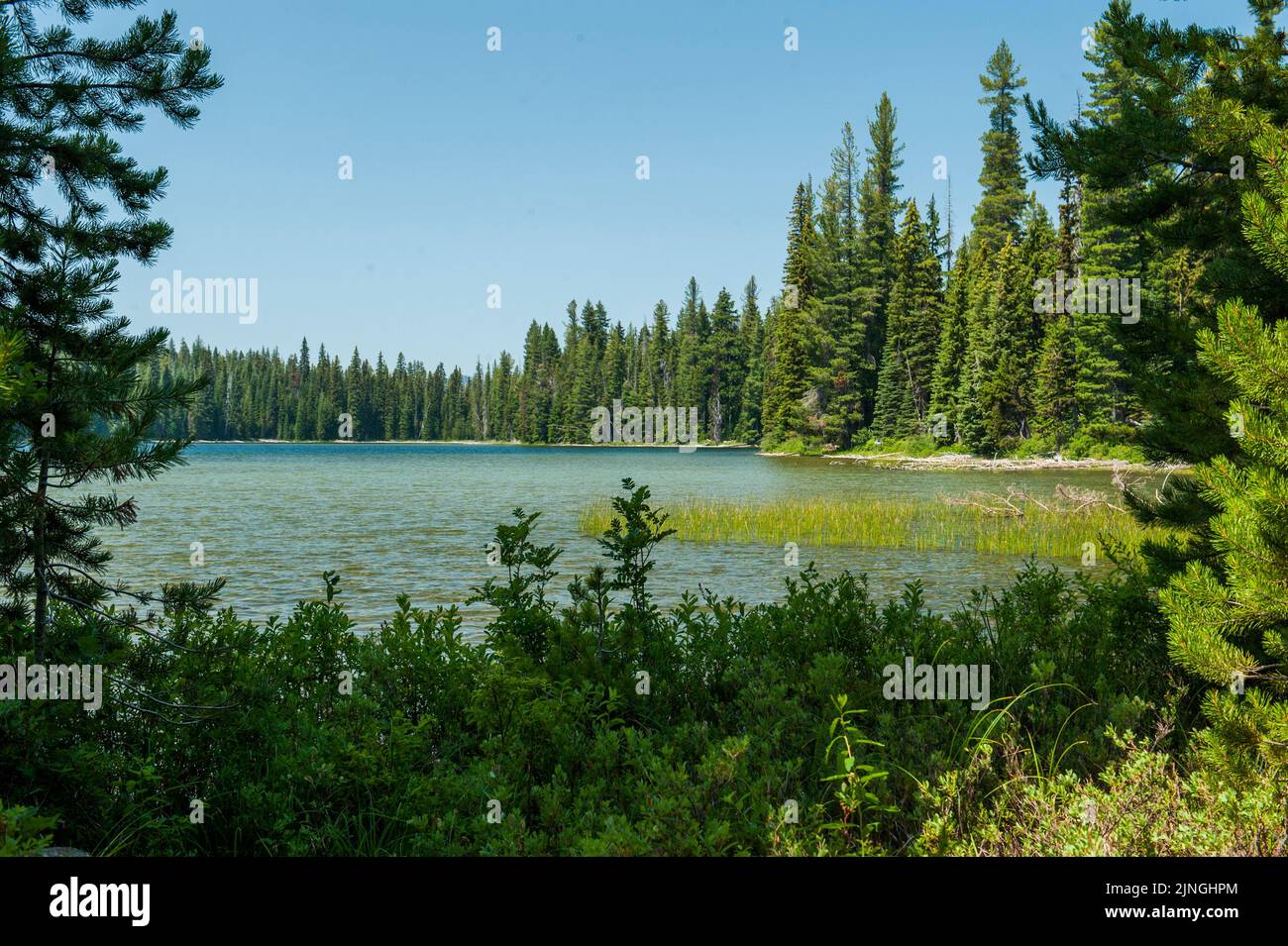 Deer Lake, in der Nähe der beiden Cultus Lakes im Deschutes National Forest, Oregon Stockfoto
