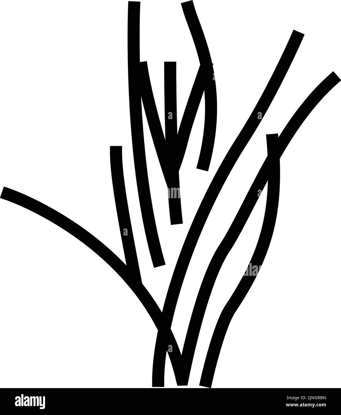 vektorgrafik für symbole der vallisneria spiralis-Linie Stock Vektor