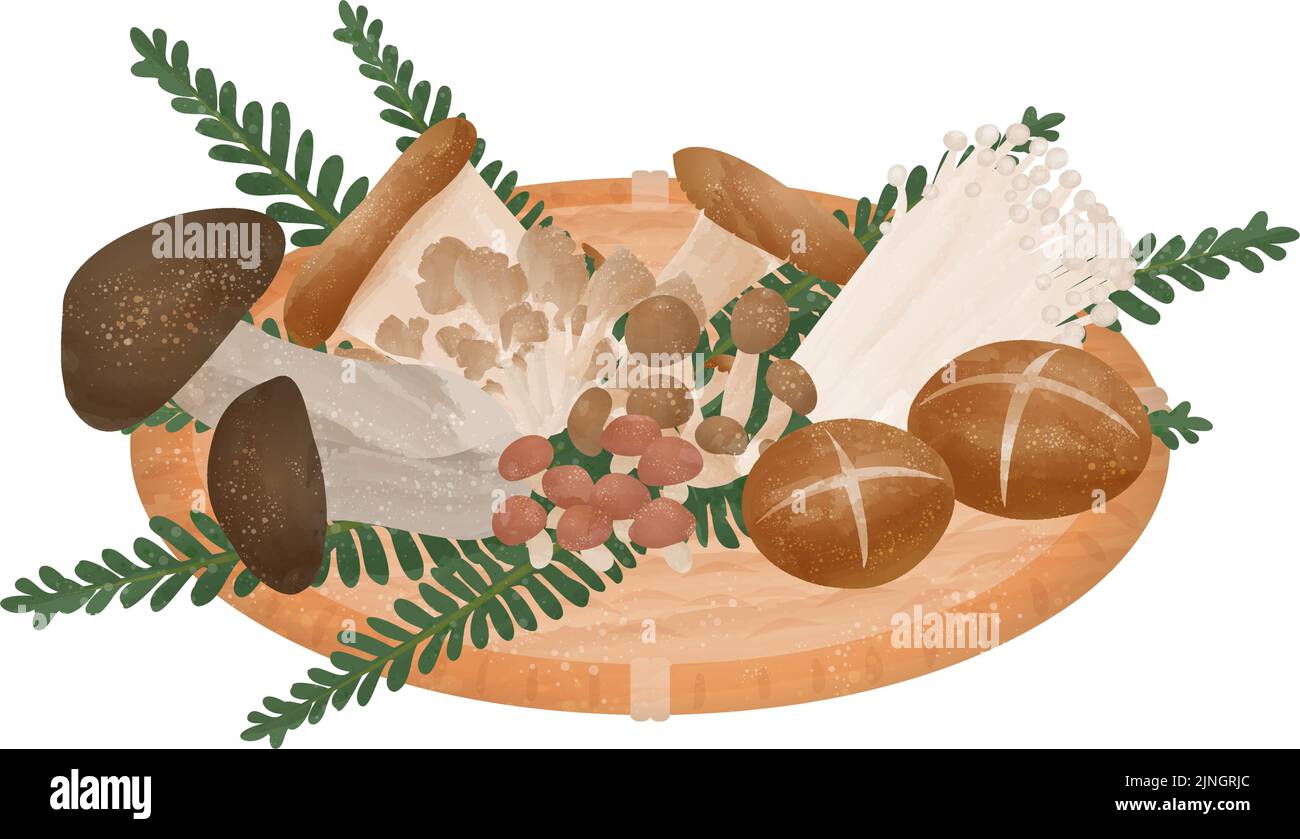 Illustration von Pilzen geerntet durch Pilze sammeln, der Geschmack des Herbstes Vektor-Illustration Stock Vektor