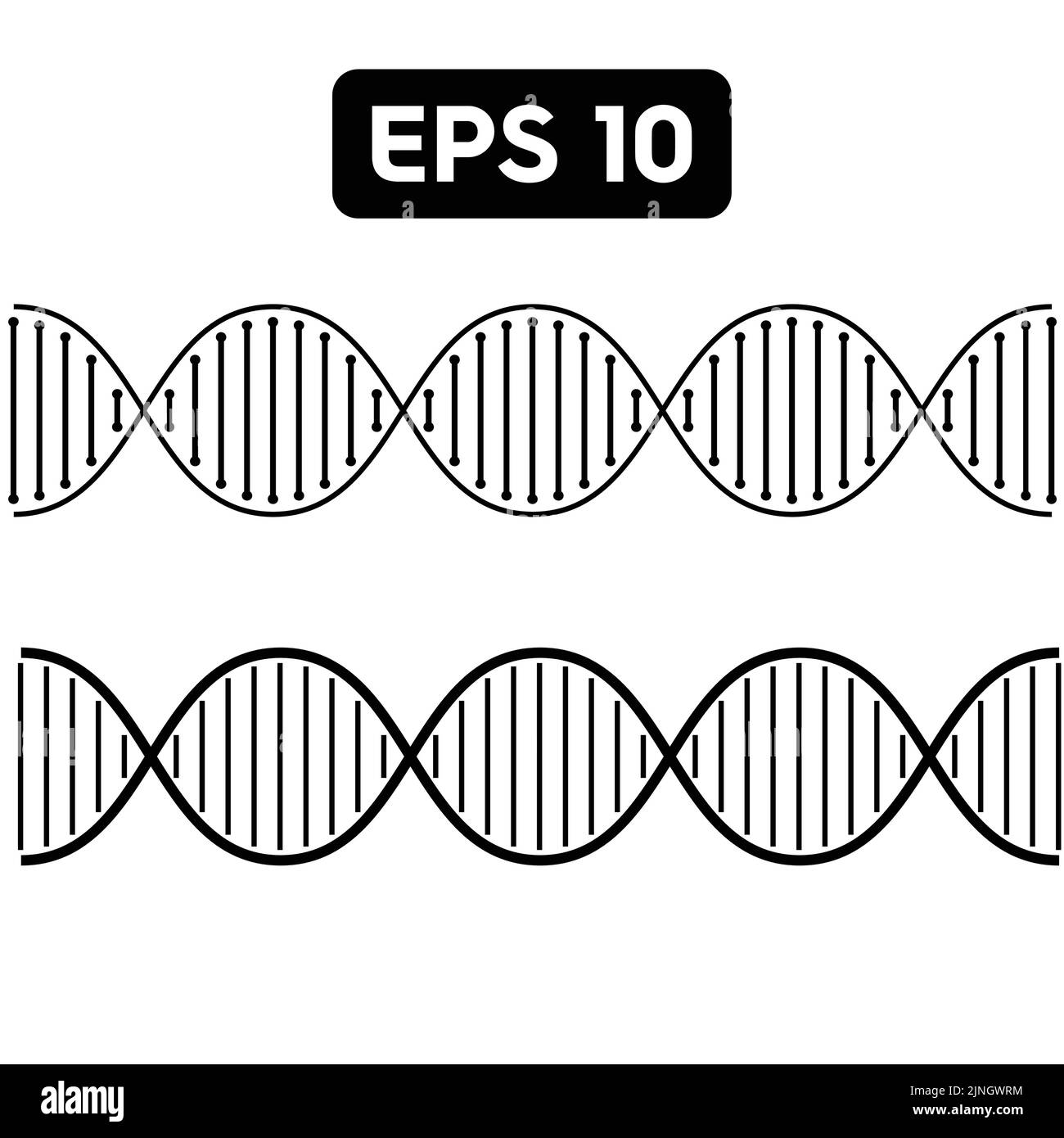 Vektordarstellung von 2 verschiedenen DNA-Konzepten, die die doppelten Spiralstränge zeigen Stock Vektor