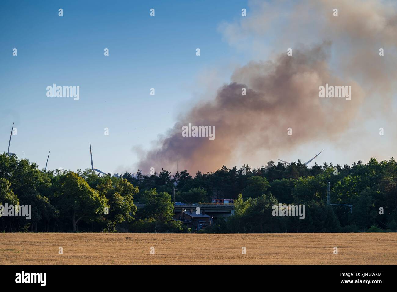 Waldbrand in der Nähe einer deutschen Autobahn Stockfoto