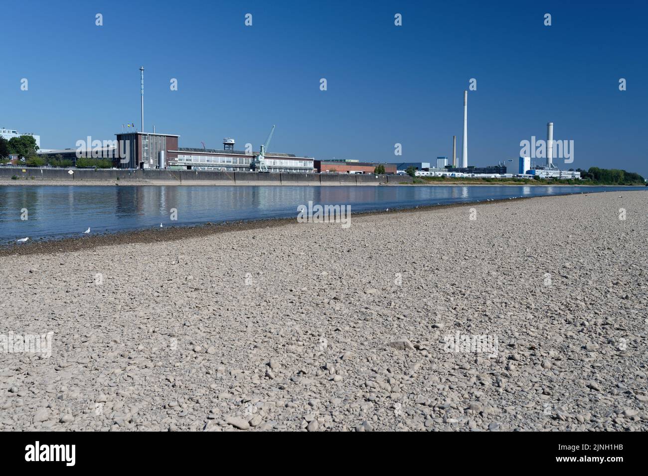 Köln, Deutschland 11. August 2022: Die Ford Motor Company in köln bei niedrigem Wasserstand am rhein Stockfoto