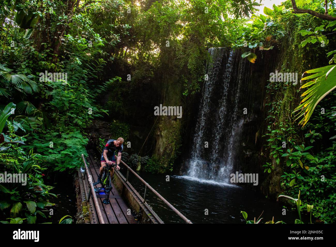 Athlet Olaf Van Den Bergh sah das Training auf seinem Fahrrad vor einem Wasserfall. Der niederländische Spitzensportler Olaf Van Den Bergh beginnt im tropischen Regenwald des Burgers' Zoo in Arnhem zu trainieren, um sich auf die Ironman-Weltmeisterschaft in Kailua-Kona in Hawaii vorzubereiten. Der Bush (Indoor Tropical Rainforest) ist aufgrund der hohen Luftfeuchtigkeit und Temperatur der ideale Trainingsort. Stockfoto