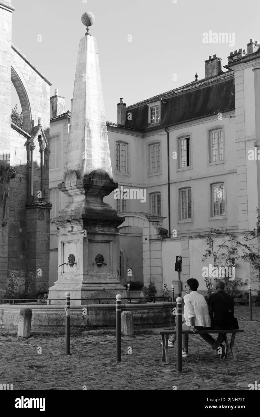 La Fontaine. Place Notre-Dame. Cluny. XIII ème siècle. Cluny. Saône-et-Loire. Bourgogne. Frankreich. Europa. Stockfoto