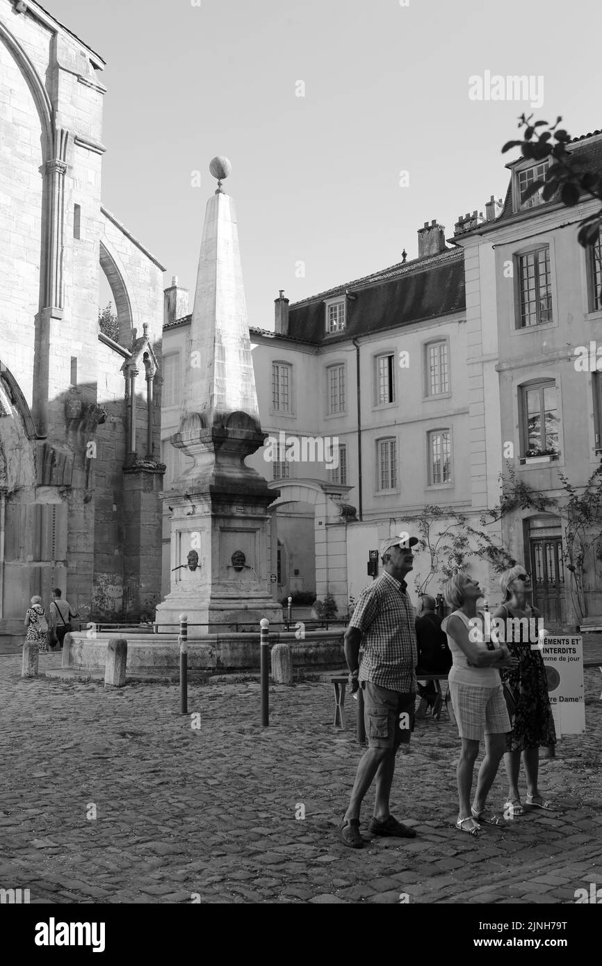 La Fontaine. Place Notre-Dame. Cluny. XIII ème siècle. Cluny. Saône-et-Loire. Bourgogne. Frankreich. Europa. Stockfoto
