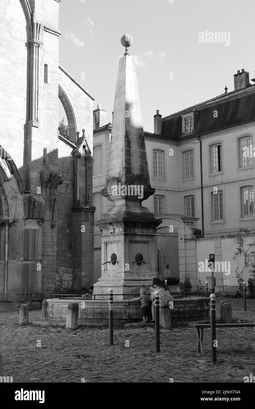 La Fontaine. Eglise Notre-Dame. Place Notre-Dame. Cluny. Saône-et-Loire. Bourgogne. Frankreich. Europa. Stockfoto