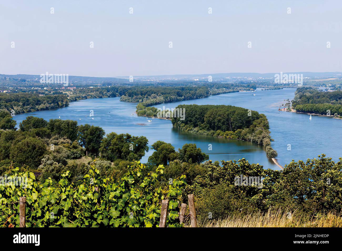 Oberes Mittelrheintal zwischen den Städten Mainz und Bingen, Insel