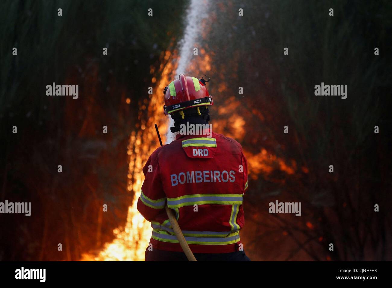 Ein Feuerwehrmann begeht ein Waldfeuer in Videmonte, Celorico da Beira, Portugal, 11. August 2022. REUTERS/Pedro Nunes Stockfoto