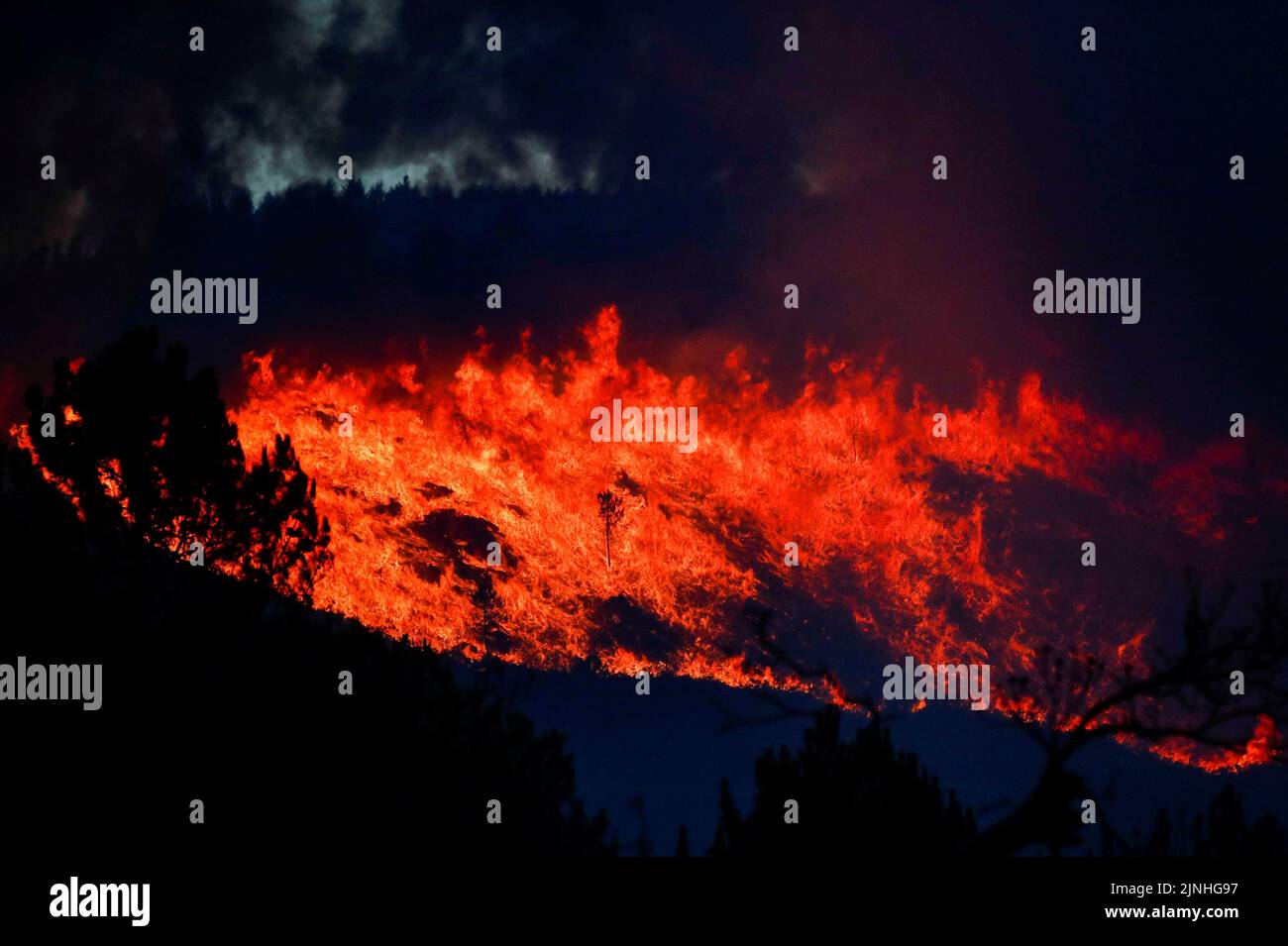 Blick auf ein Waldfeuer in Videmonte, Celorico da Beira, Portugal, 11. August 2022. REUTERS/Pedro Nunes Stockfoto