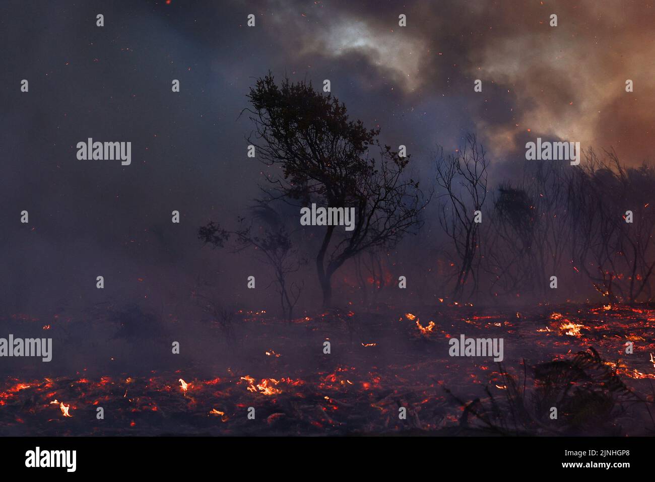 Blick auf einen Brennraum bei einem Waldbrand in Videmonte, Celorico da Beira, Portugal, 11. August 2022. REUTERS/Pedro Nunes Stockfoto