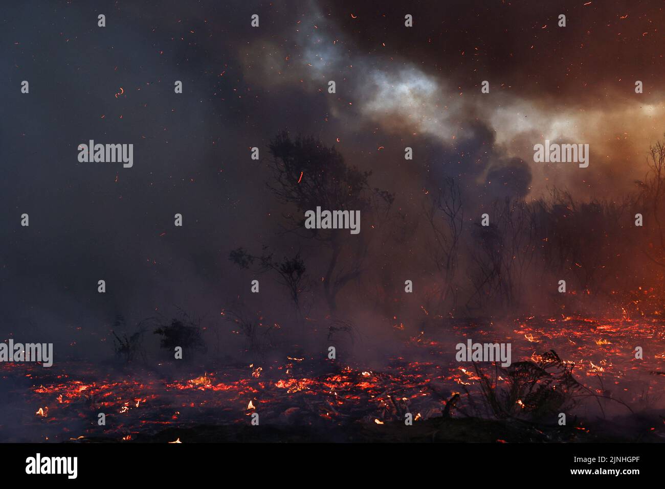 Blick auf einen Brennraum bei einem Waldbrand in Videmonte, Celorico da Beira, Portugal, 11. August 2022. REUTERS/Pedro Nunes Stockfoto