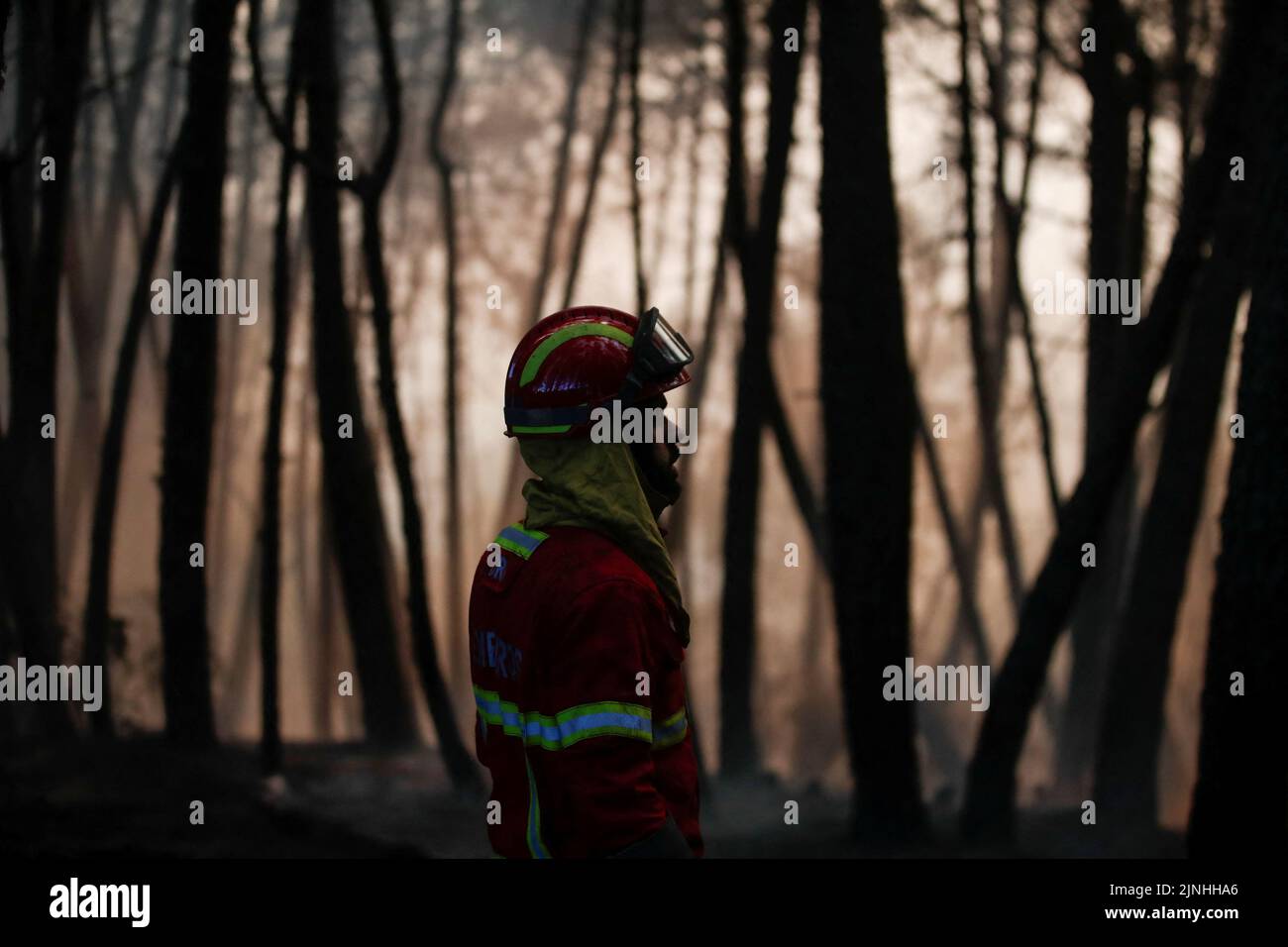 Ein Feuerwehrmann betrachtet die Folgen eines Waldbrands in Videmonte, Celorico da Beira, Portugal, 11. August 2022. REUTERS/Pedro Nunes Stockfoto