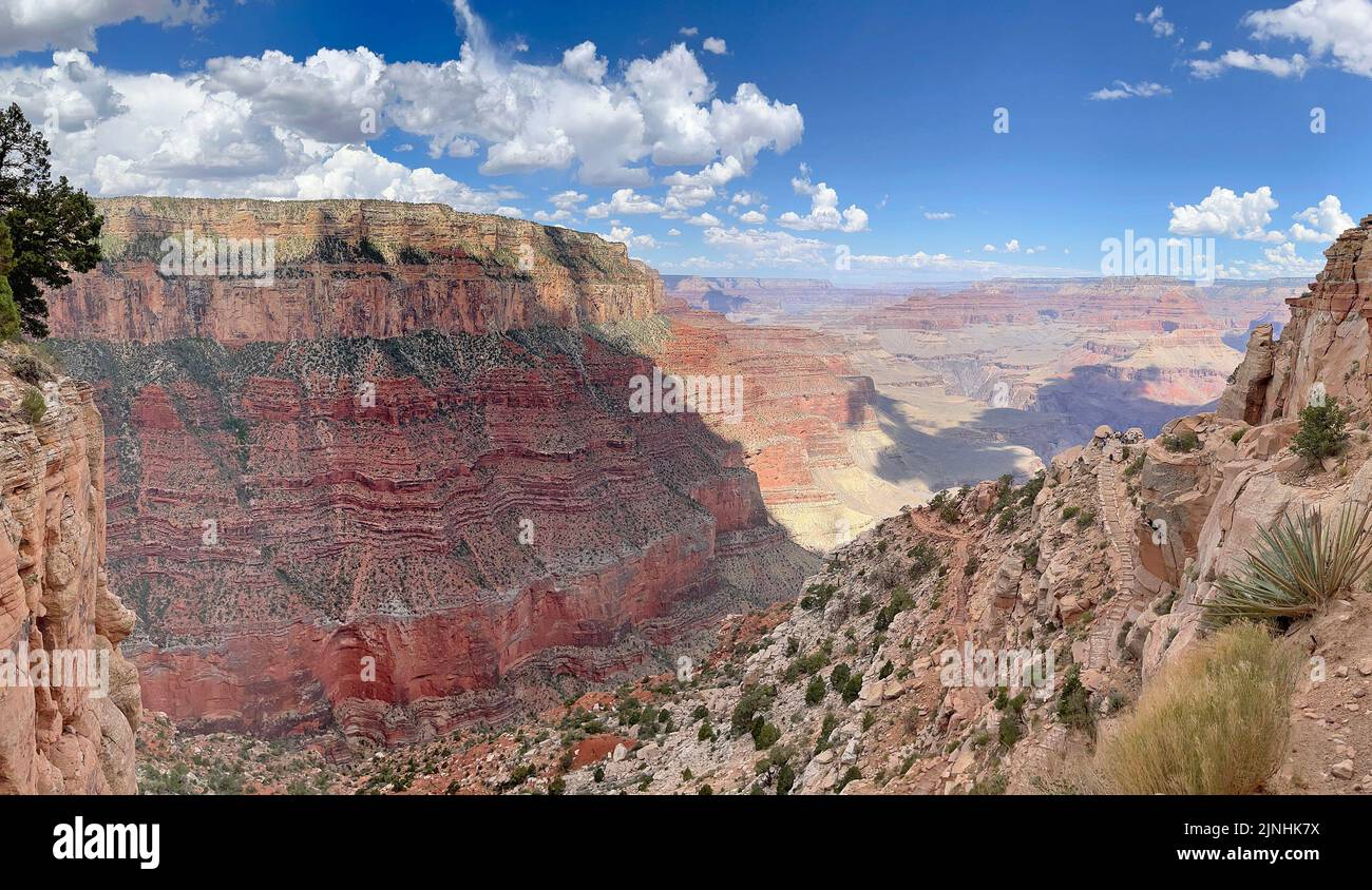 Panoramablick auf den South Kaibab Trail mit einem Kaktus im Vordergrund, Grand Canyon, USA Stockfoto