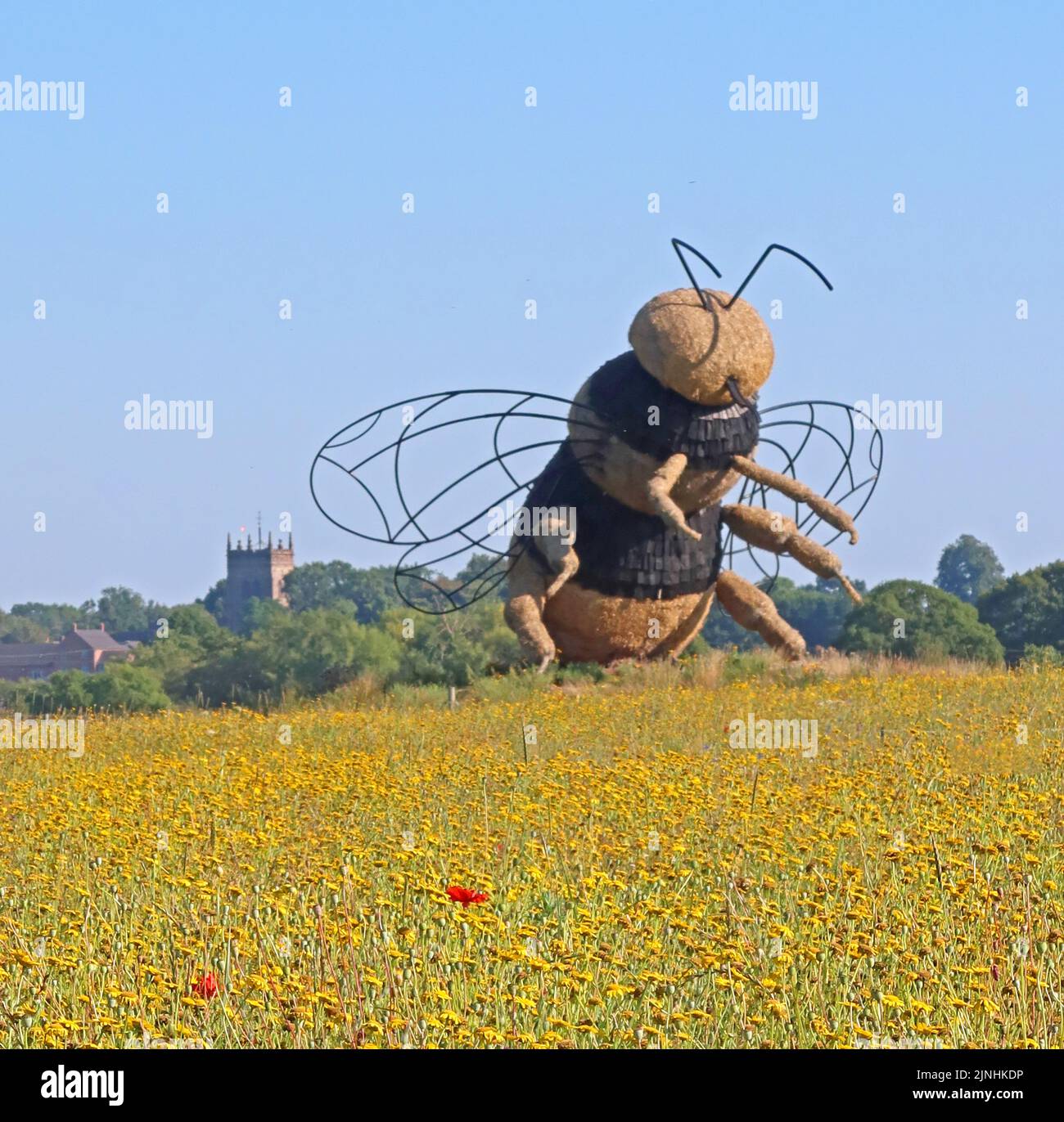 Bienenstrohskulptur auf der Wildblumenwiese bei Snugburys Ice Cream, Park Farm, A51, Hurleston, Nantwich, CW5 6BU Stockfoto