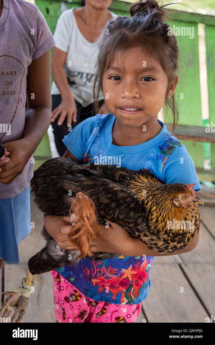 Young Girl hält Huhn für den Markt im Barrio Florido im peruanischen Amazonas Stockfoto