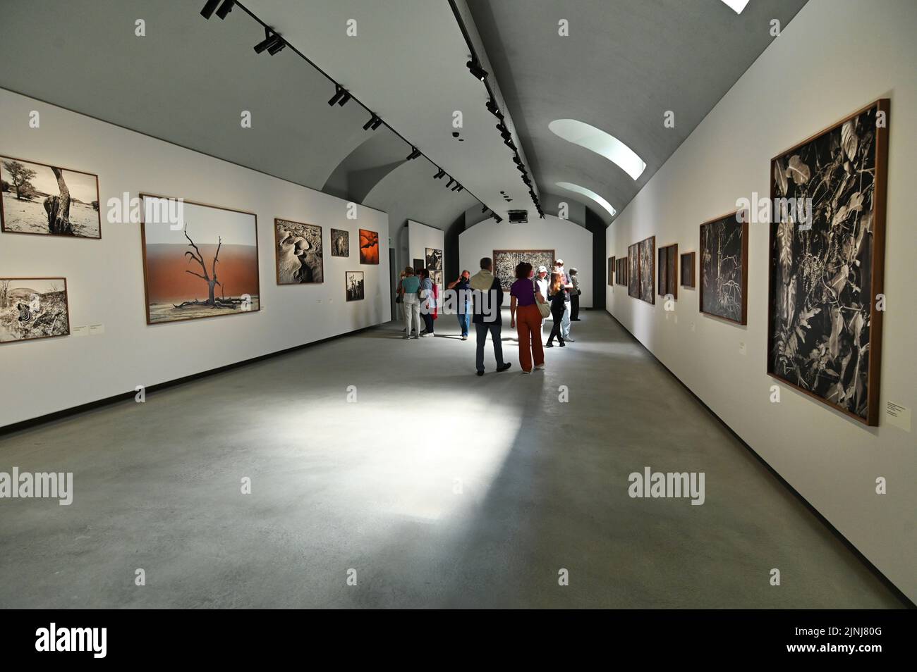 Einweihung des neuen Museums für die Galerie von Italien in Intesa San Paolo, Turin Stockfoto