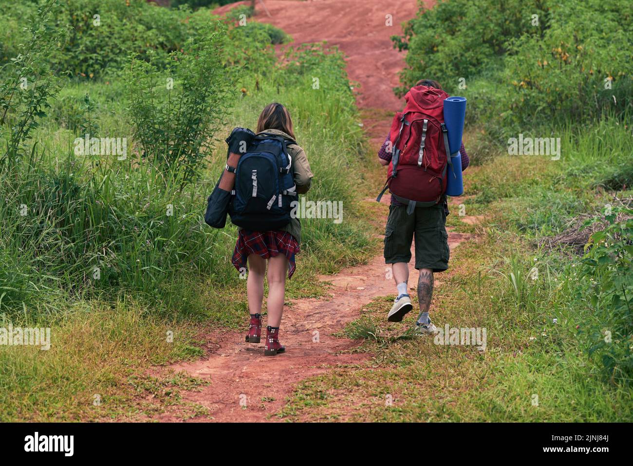 Rückansicht von jungen Wanderern mit Rucksäcken, die Spaß haben, während sie auf dem Pfad in buschiger Gegend spazieren gehen Stockfoto