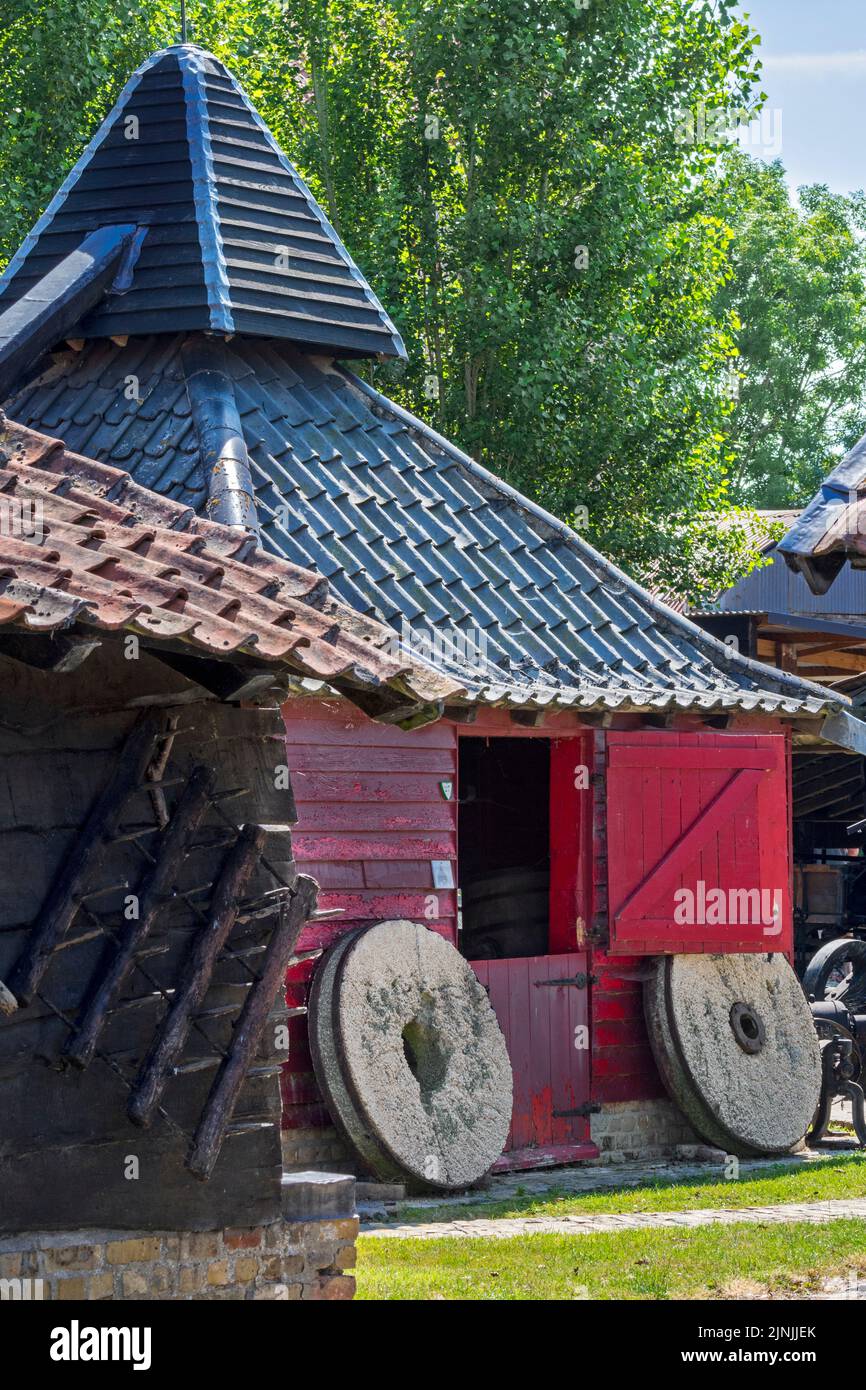 Alte flämische Holzpferdemühle, die im Freilichtmuseum Bachten de Kupe, Izenberge, Westflandern, Belgien, tierische Kraft zum Mahlen von Getreide nutzt Stockfoto